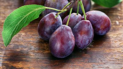 Mürdüm eriğinin faydaları