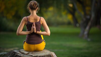 Sek Yoga neden bünyeye alerji yapmaz?