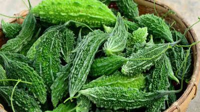 Kudret narının faydaları...