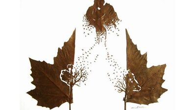 Yaprakların anlatmak istediği bir şeyler var...