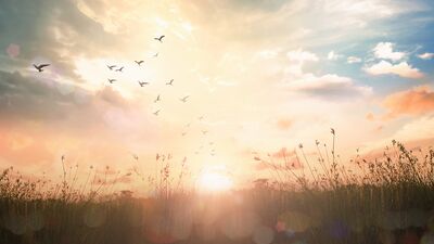 Gerçekten mutlu insanların umursamadığı 15 şey‏