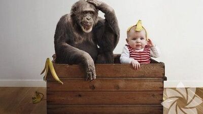 Bu bebek bir harika!