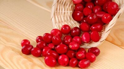 Uyku problemini çözen kızılcığın faydaları