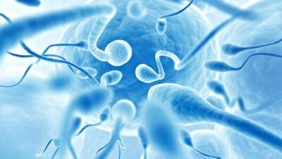 Çocuk sahibi olamayanlara devlet desteği