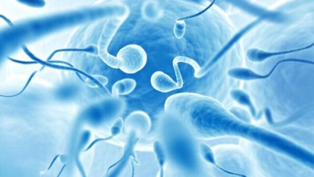 Çocuk sahibi olamayanlara devlet desteği