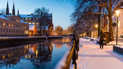 Viking şehri: Uppsala