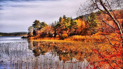 Sonbahar rotasında Abant Gölü