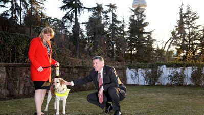Türkiye'de rehber köpekler yetiştirecek!