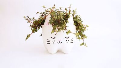 Plastik şişeleri dönüştürün!