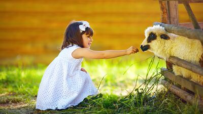 Kurban Bayramı çocuğa nasıl anlatılmalı?