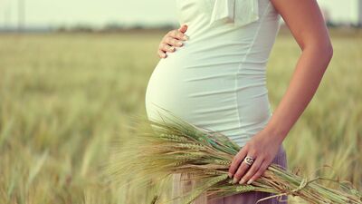 Merve&#039;nin Gebelik Günlüğü&#039;nde 26. Hafta