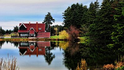 Sonbaharın renk devrimi Abant&#039;ta