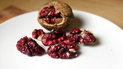 Kırmızı ceviz üretildi