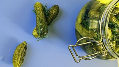 Dereotlu kornişon turşusu