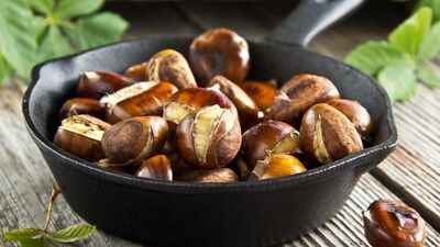 Protein içeriyor: Kestane