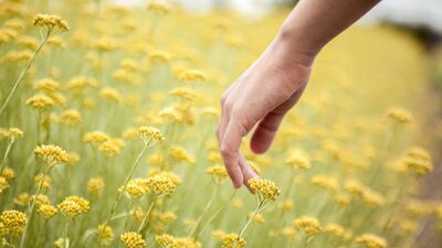 Büyük değişimler yaratmanın 7 yolu