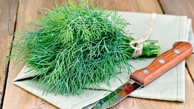 Adet sancılarını yok eden dereotunun faydaları