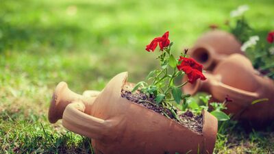 Kırılmış eşyaları dönüştürmeye ne dersiniz?