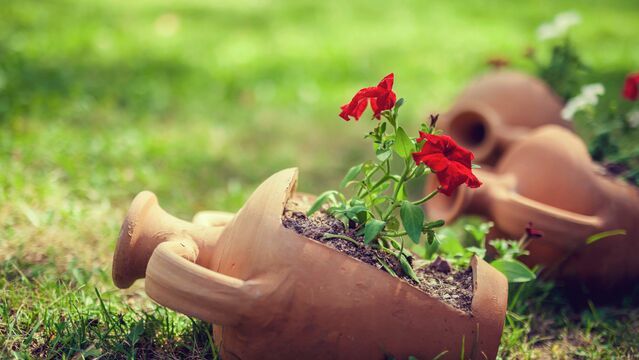 Kırılmış eşyaları dönüştürmeye ne dersiniz?