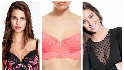 2015 iç çamaşırı modası