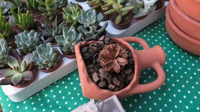 Başka türlü doğum günleri