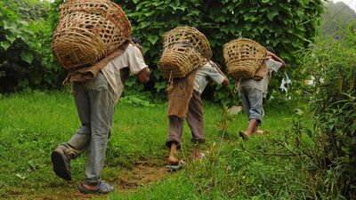 Çocuğunuz sizin yanınızda çalışabilir mi?