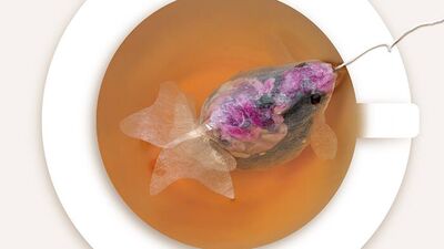 Fincanda balık olsam!