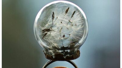 Bu yüzükler bir harika!