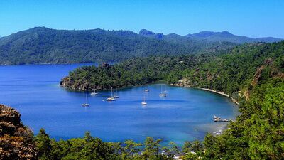 Bugün bene, yarın sene