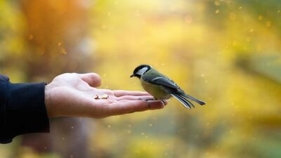 Mutlu insanların yapmadığı 15 şey