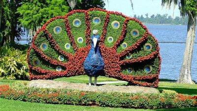 Çiçekten heykeller...