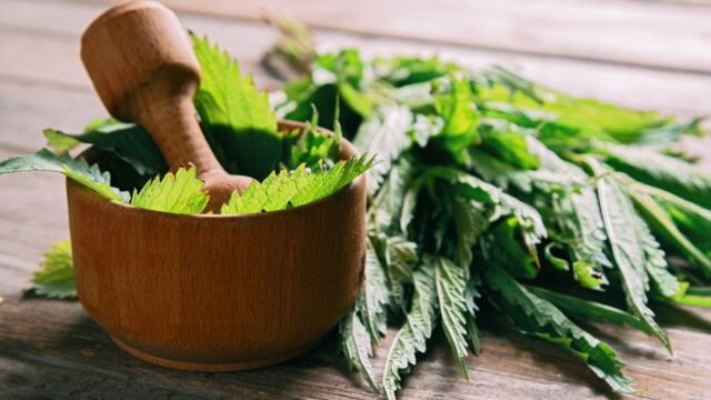 Saçlarınız ısırgan otuyla güçlensin