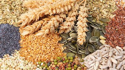 Çinko hangi gıdalarda bulunur?