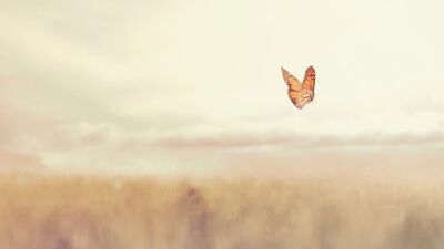 Hayatı daha yavaş yaşamak için 10 sebep