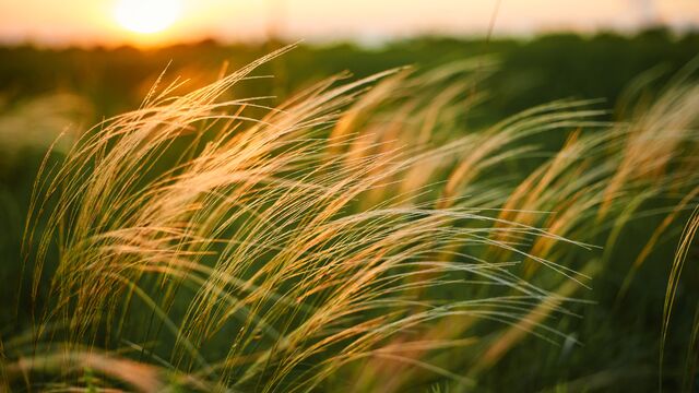 Hayattan istediklerinizi nasıl alırsınız?