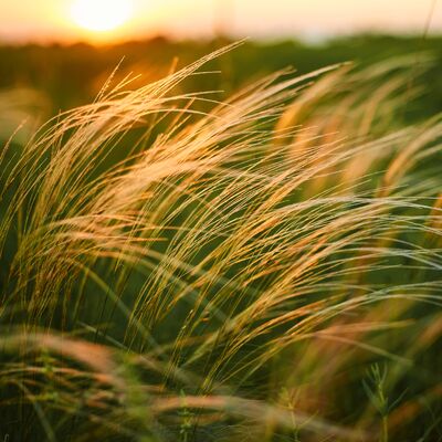 Hayattan istediklerinizi nasıl alırsınız?