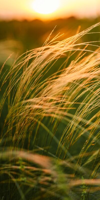 Hayattan istediklerinizi nasıl alırsınız?