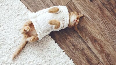 Halı seçiminde dikkat edilmesi gerekenler