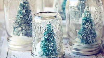 Kavanoza ağaç dikmişler!