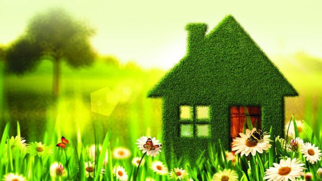 Evimin enerjisini nasıl temizleyebilirim?