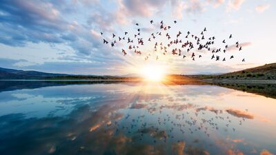 Daha canlı hissetmenin yolları