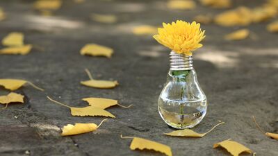 Patlamış ampullerden neler yapılabilir?