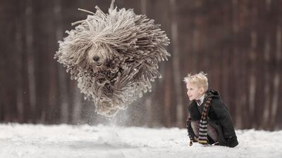 Küçük çocuklar ve büyük köpekler