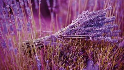 Lavantalı banyo topları tarifi