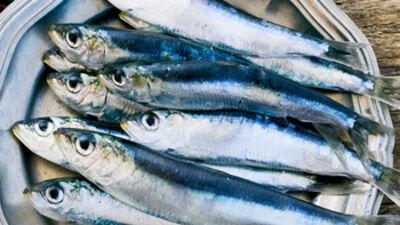 Ocak ayında hangi balıklar yenir?