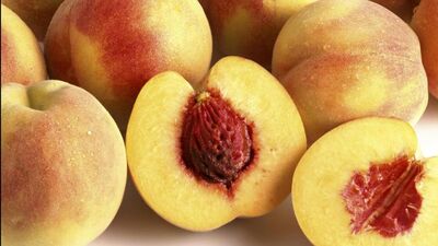 Epizyotomi gerekli mi?