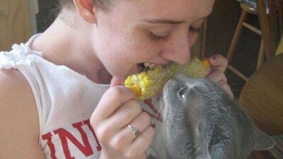 Bunları sadece kedi sahipleri anlar!