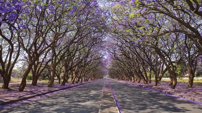 Dünyanın bütün renkli sokakları...