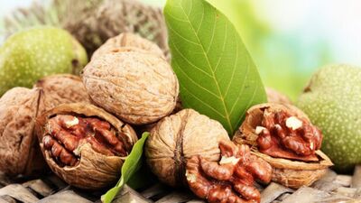 Güçlü bir hafıza için ceviz...