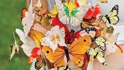 Kelebekler her yerde…